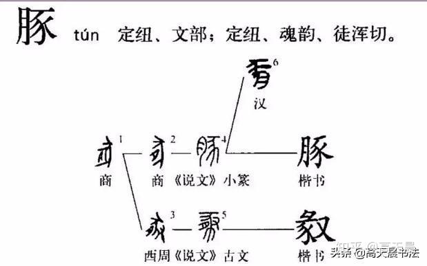 【豮(fén】豖(chù)指猪阉割的状态,而被阉割(去势)过的公猪称之为