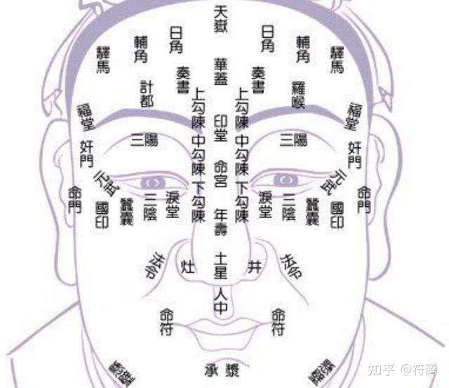 面相- 知乎