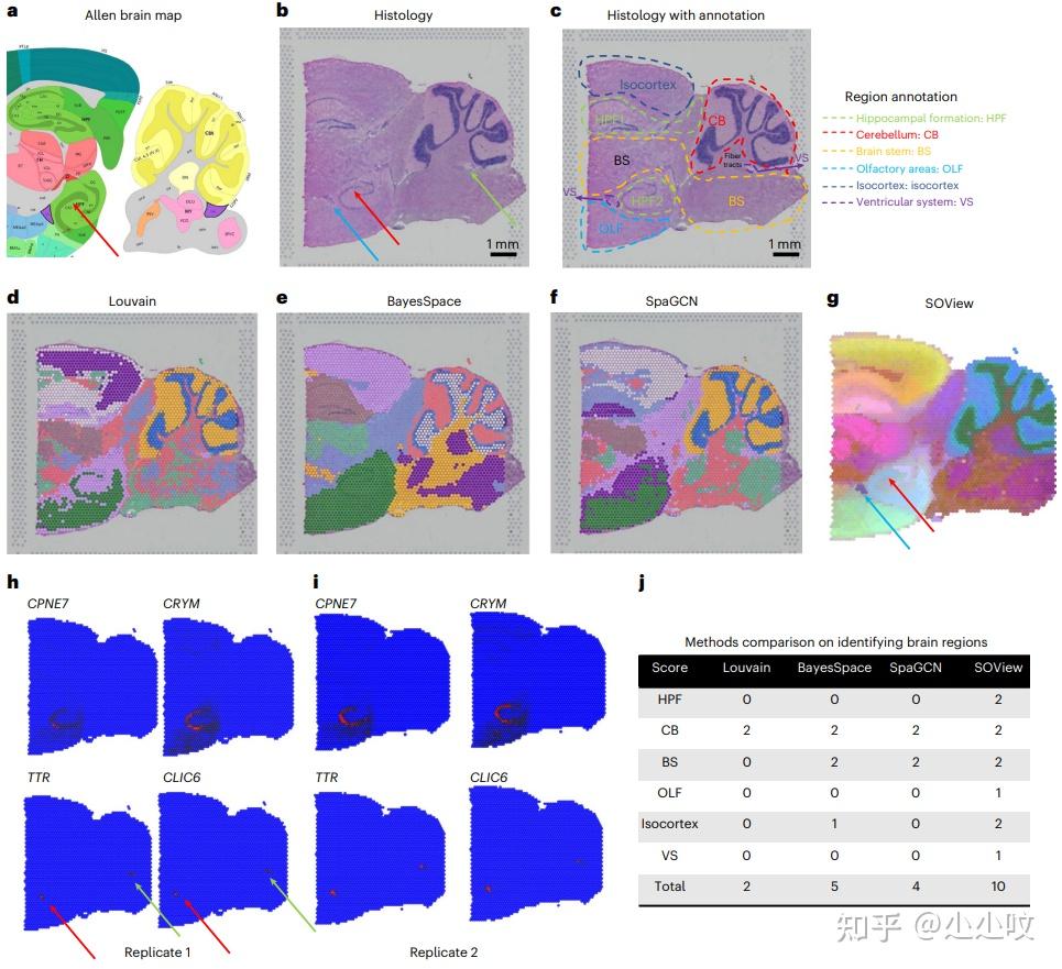 Nature Methods 空间组学数据库推荐：sodb 知乎 9895