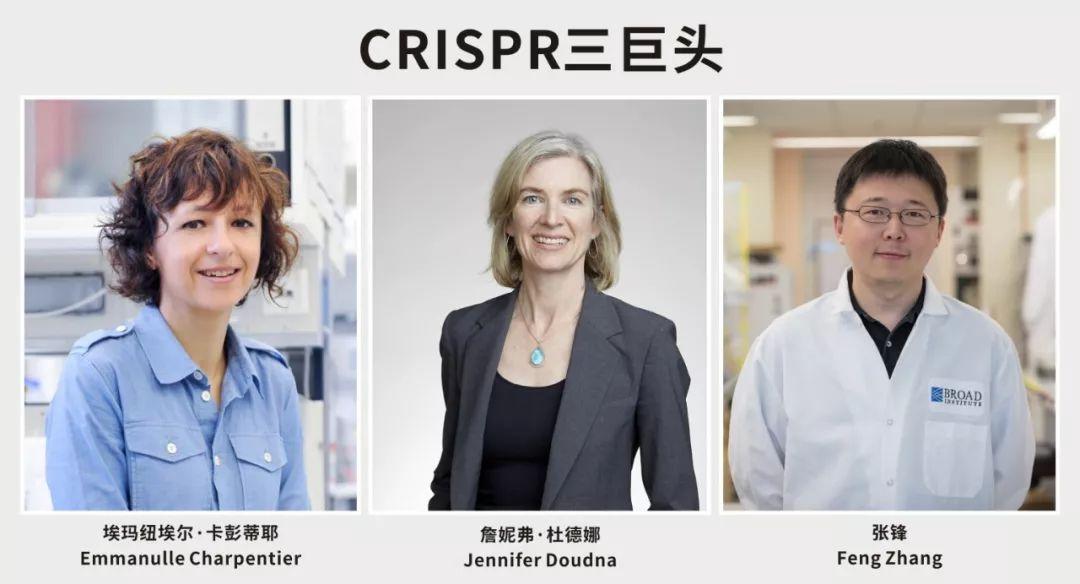 张锋的一小步，CRISPR的一大步：全球首个在体CRISPR基因编辑完成患者给药 知乎