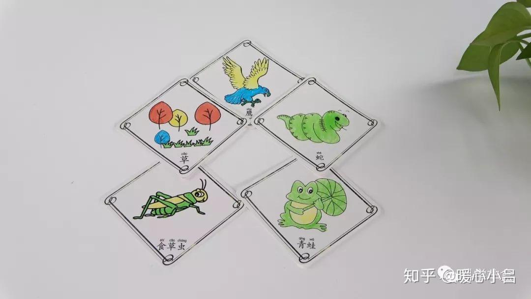 科学芈盒制作有趣的食物链科学小实验