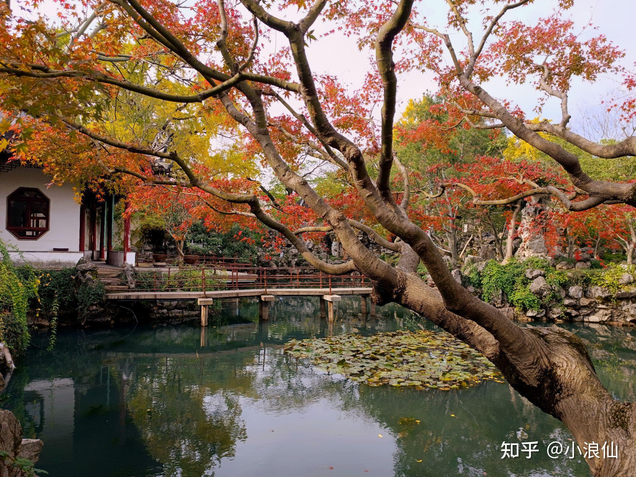 苏州园林秋景图片