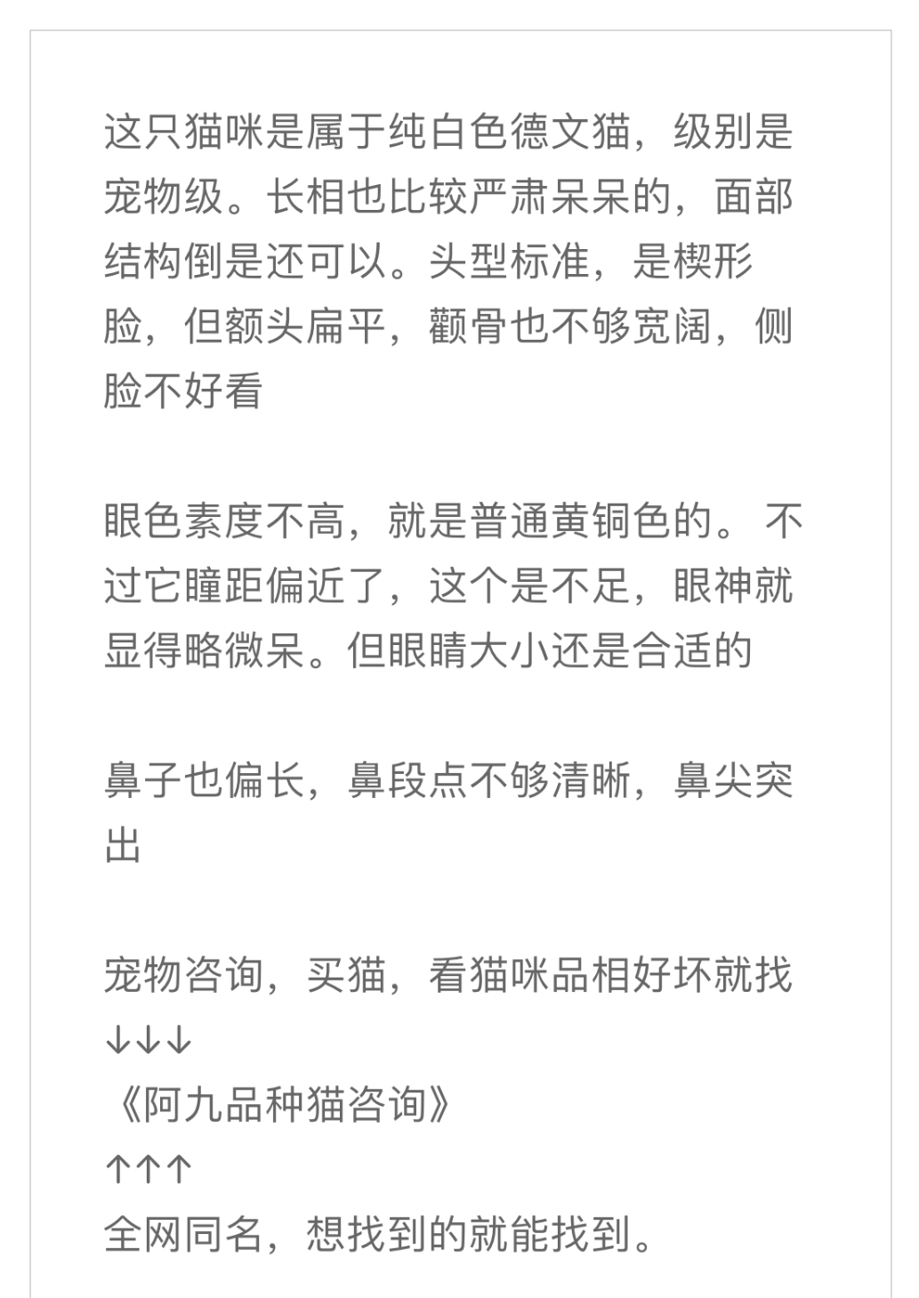 一篇文章搞懂德文卷毛猫! - 知乎