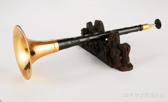 1,音鲨音鲨是天津的一家乐器厂,创立于2015年,专业做民族吹管乐器.