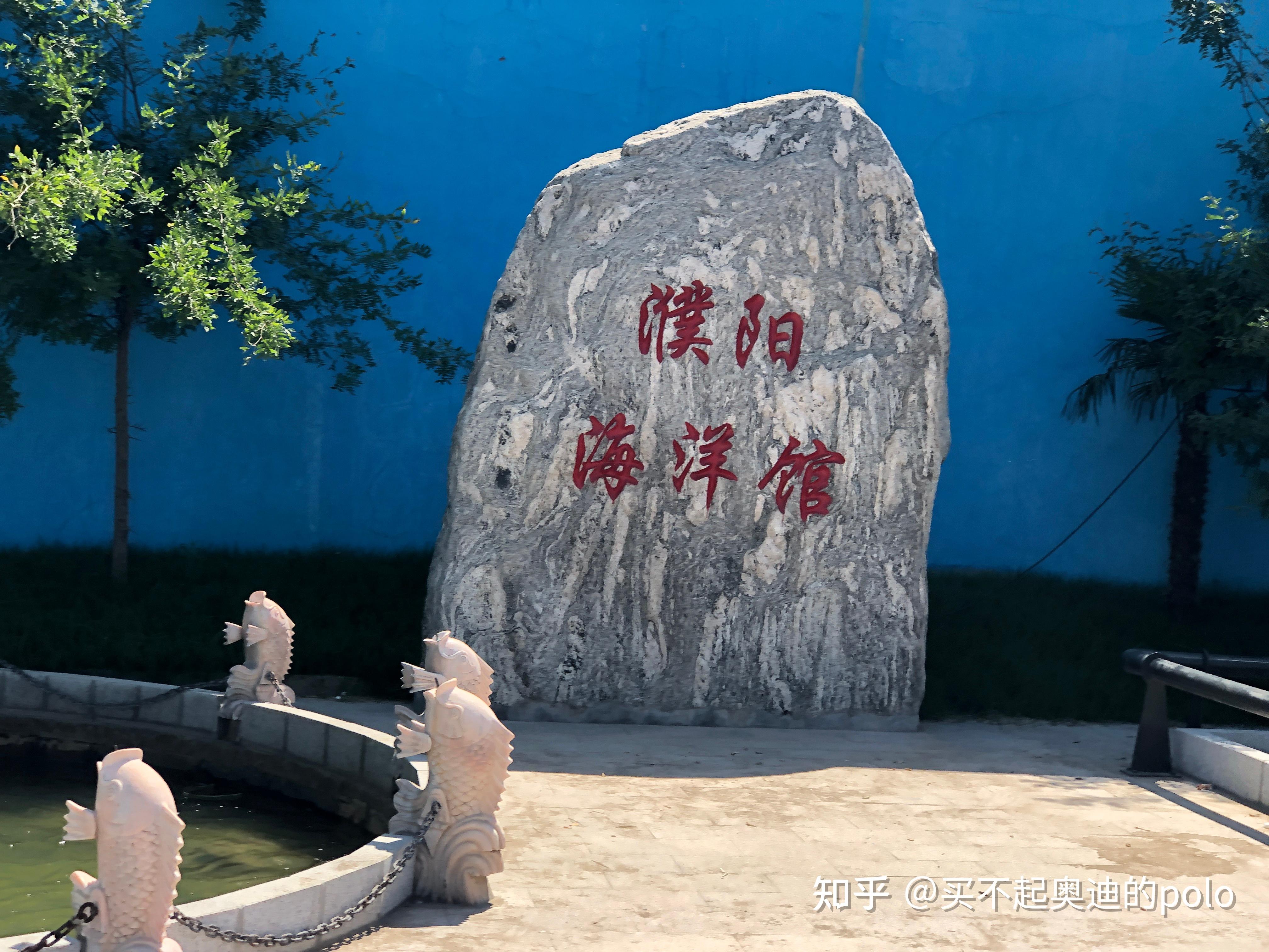 周末开新帕萨特外出游濮阳海洋馆