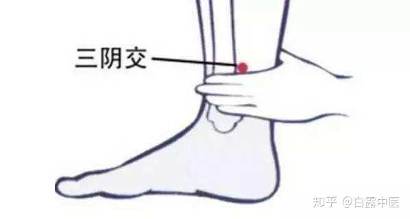 中医养生 女子要不老 长按 妇科圣穴 三阴交 知乎