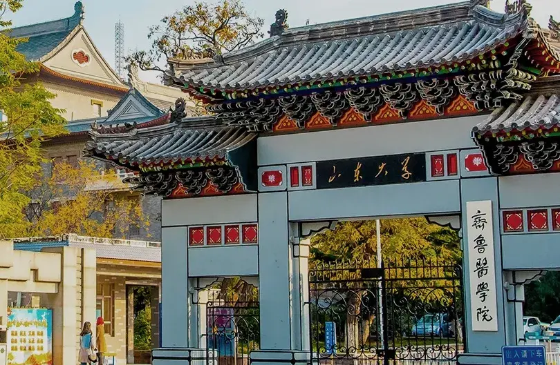 山东大学齐鲁医学院