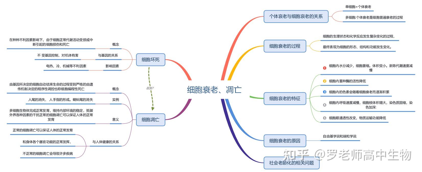 高中生物必修一思維導圖