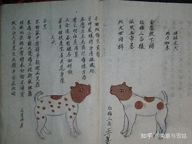 古籍《相犬大全》,上百种中华田园犬花色赏析!