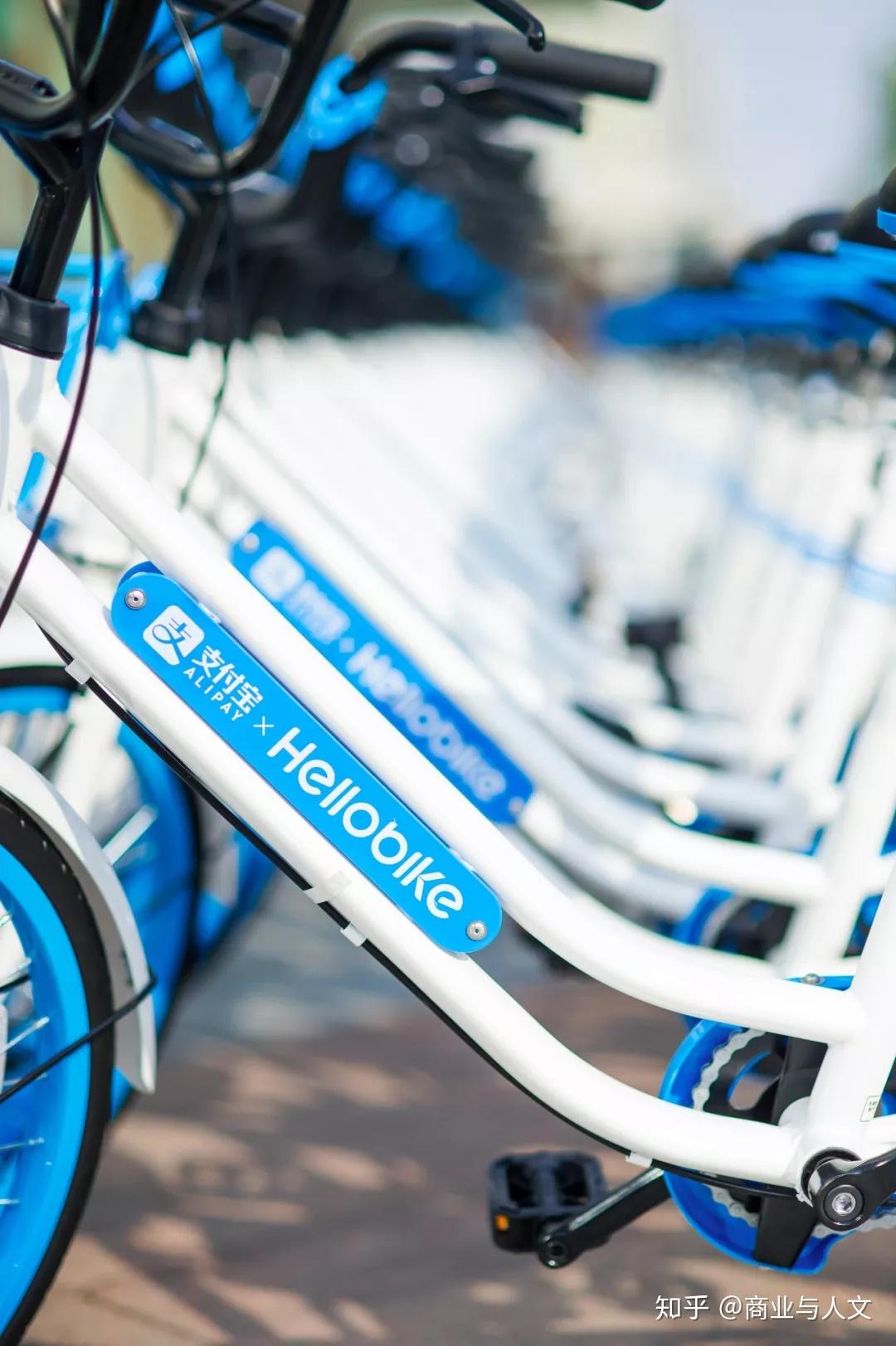 哈罗突袭成都半年占领40人口日订单150万