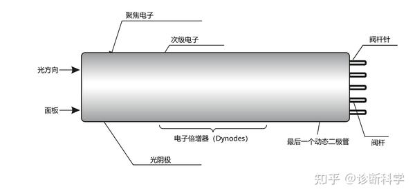 技术 | 一文读懂化学发光免疫测定 - 知乎