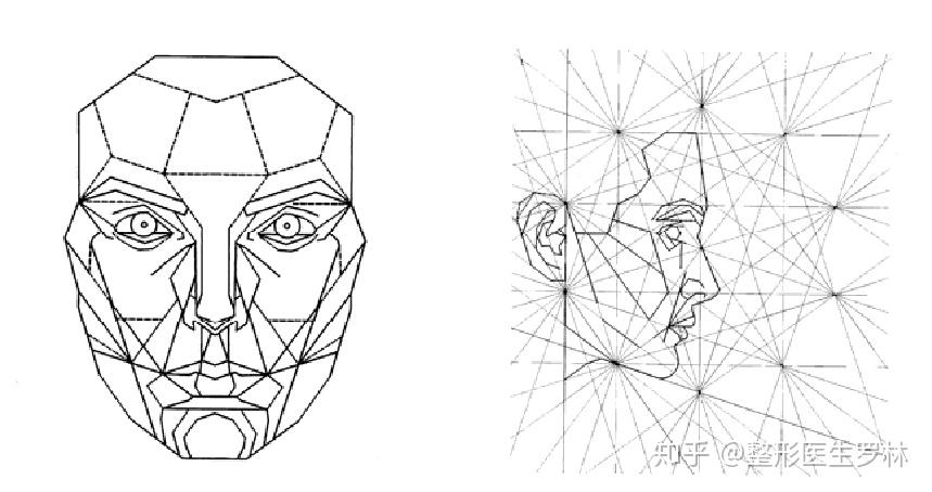 美容整形的一些美学标准关于马夸特黄金面具