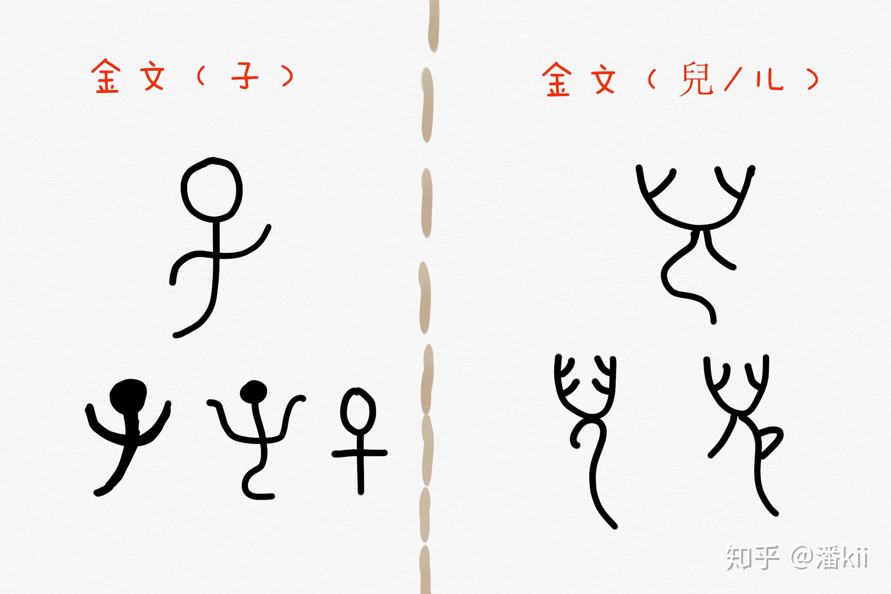 兒,从甲骨文开始就基本定型了,与子的区别首先在于头,是向上开口的,有