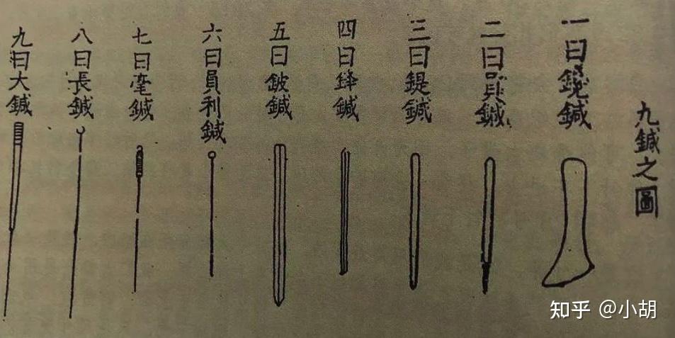 倪海厦针灸课笔记- 1入门 配合图 - 知乎