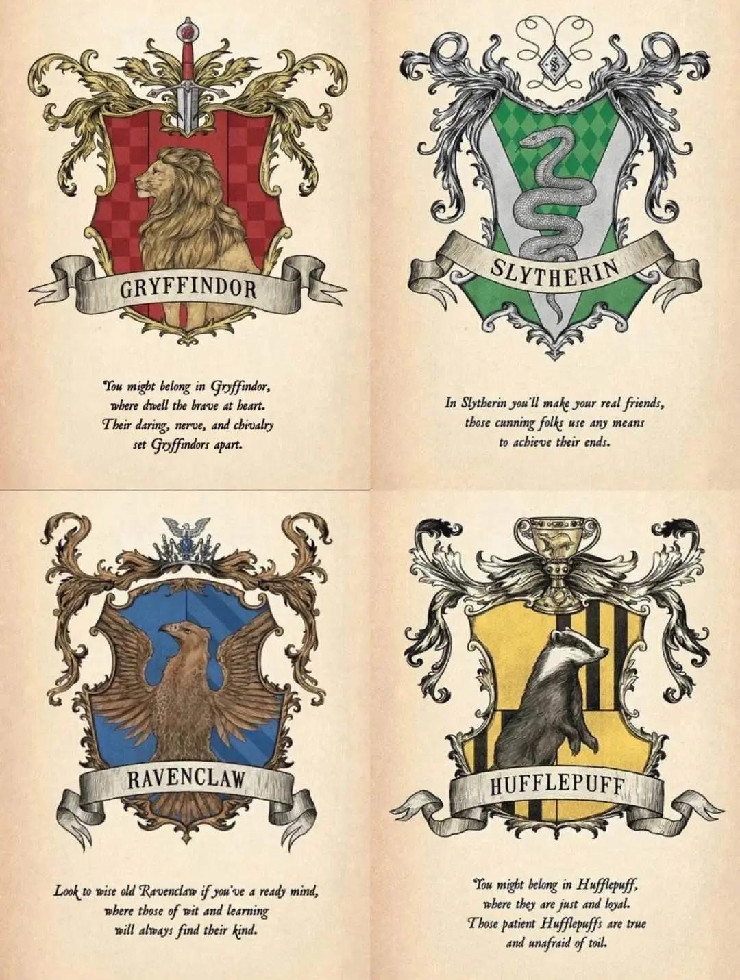 没有赫奇帕奇,巫师世界早就不存在了! - 知乎