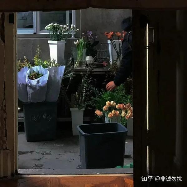 无关爱情文案甜(无关情爱的高质量温柔文案)