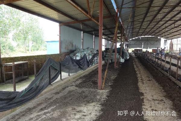 石蛙养殖需要什么条件