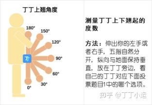 丁丁上翘,左右偏有问题吗? - 知乎