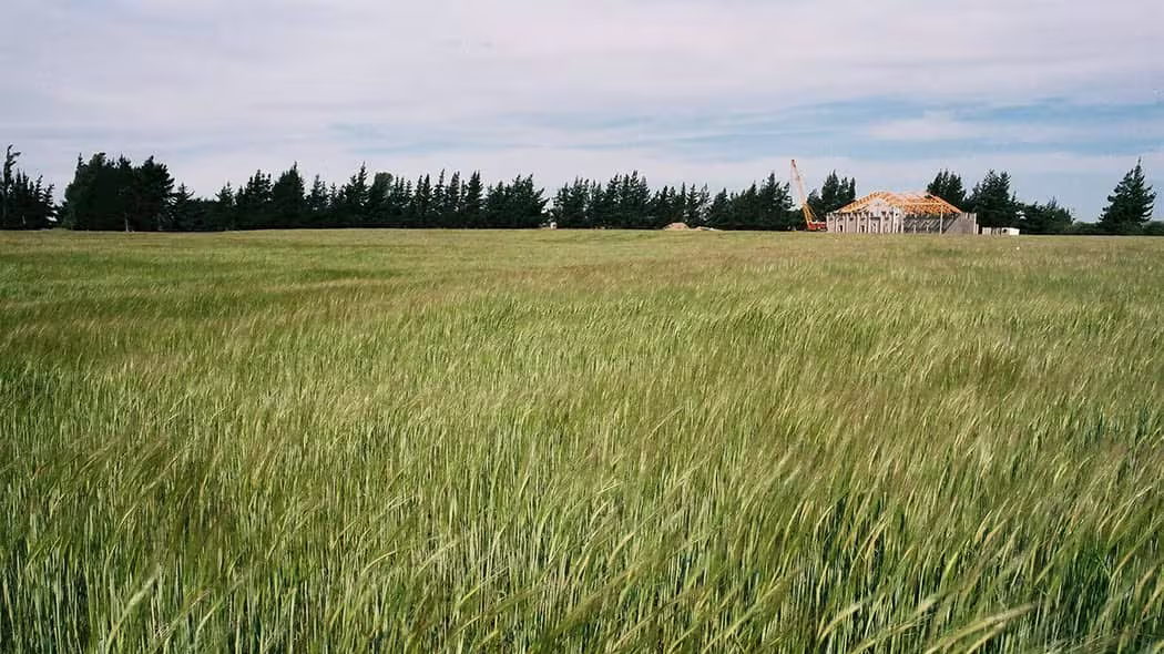 云雾之湾酒庄与浪漫和热爱同行