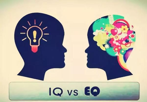 iq-eq iq-eq
