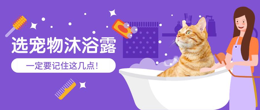 v2-35e2a5407f6c0fda5ba96e670f14356f_1440w.jpg?source=172ae18b