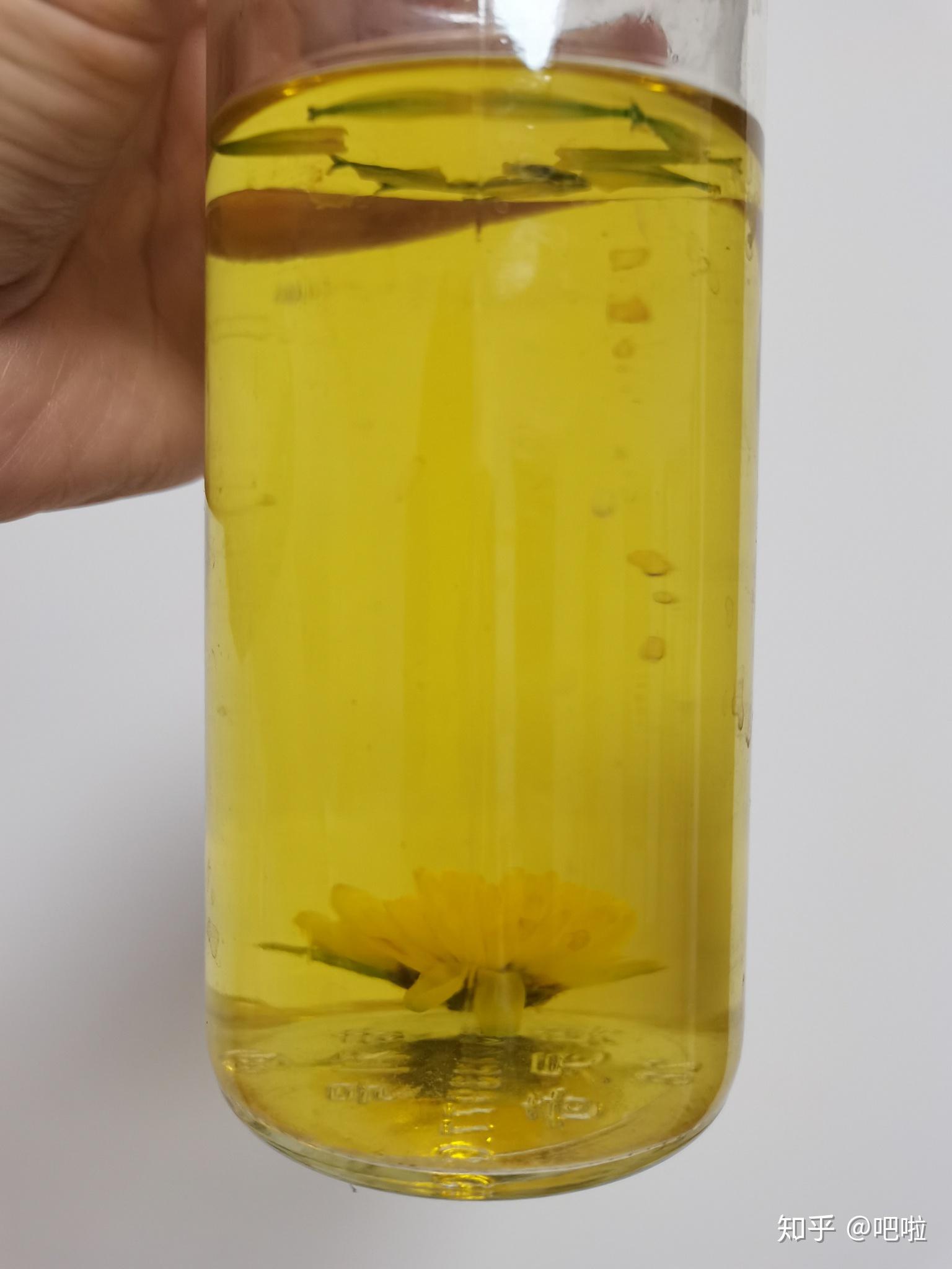 印象张家界超市佛菊