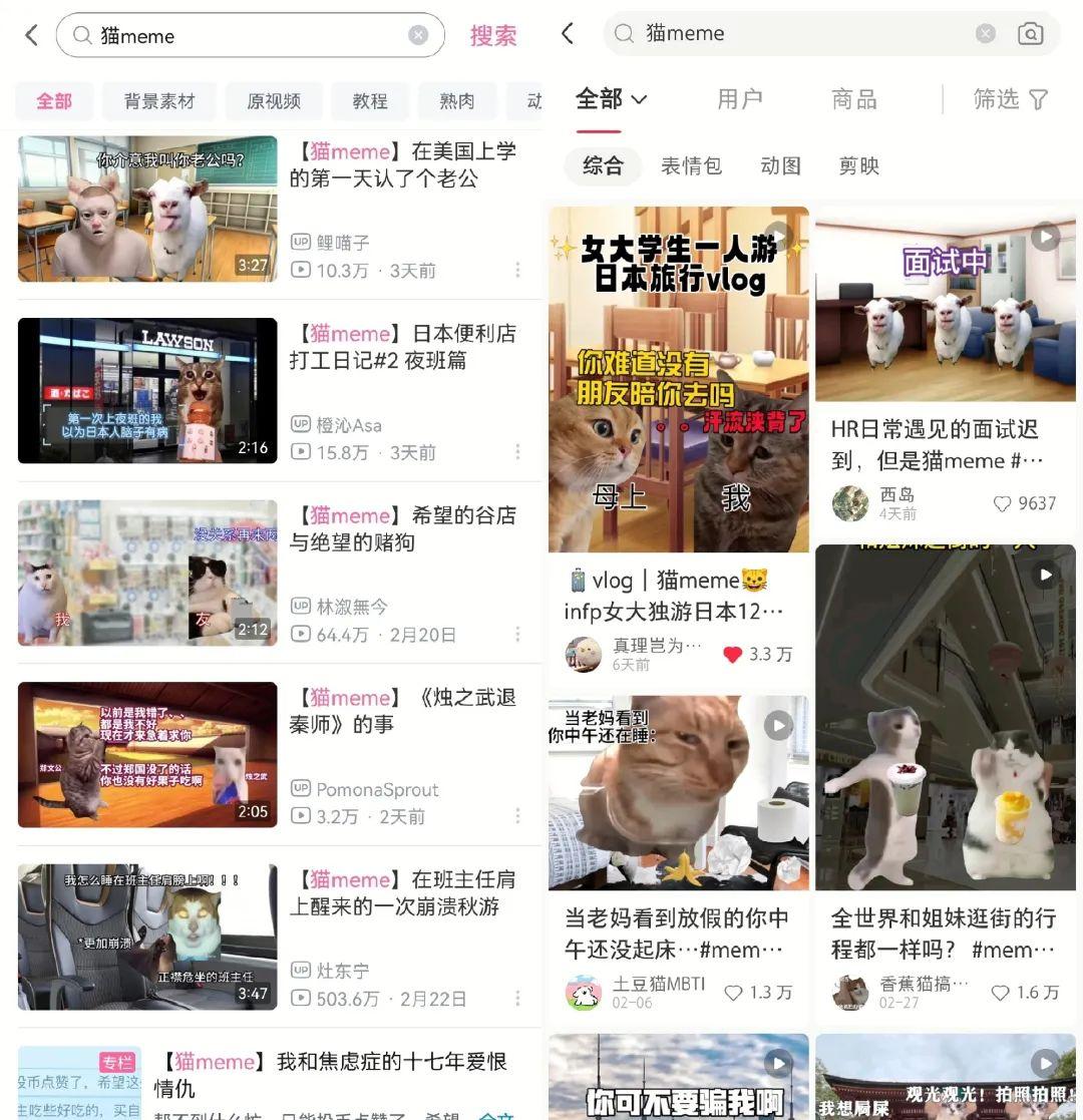 7天B站涨粉20万，“猫meme”为何风靡全网？|新榜出品- 知乎