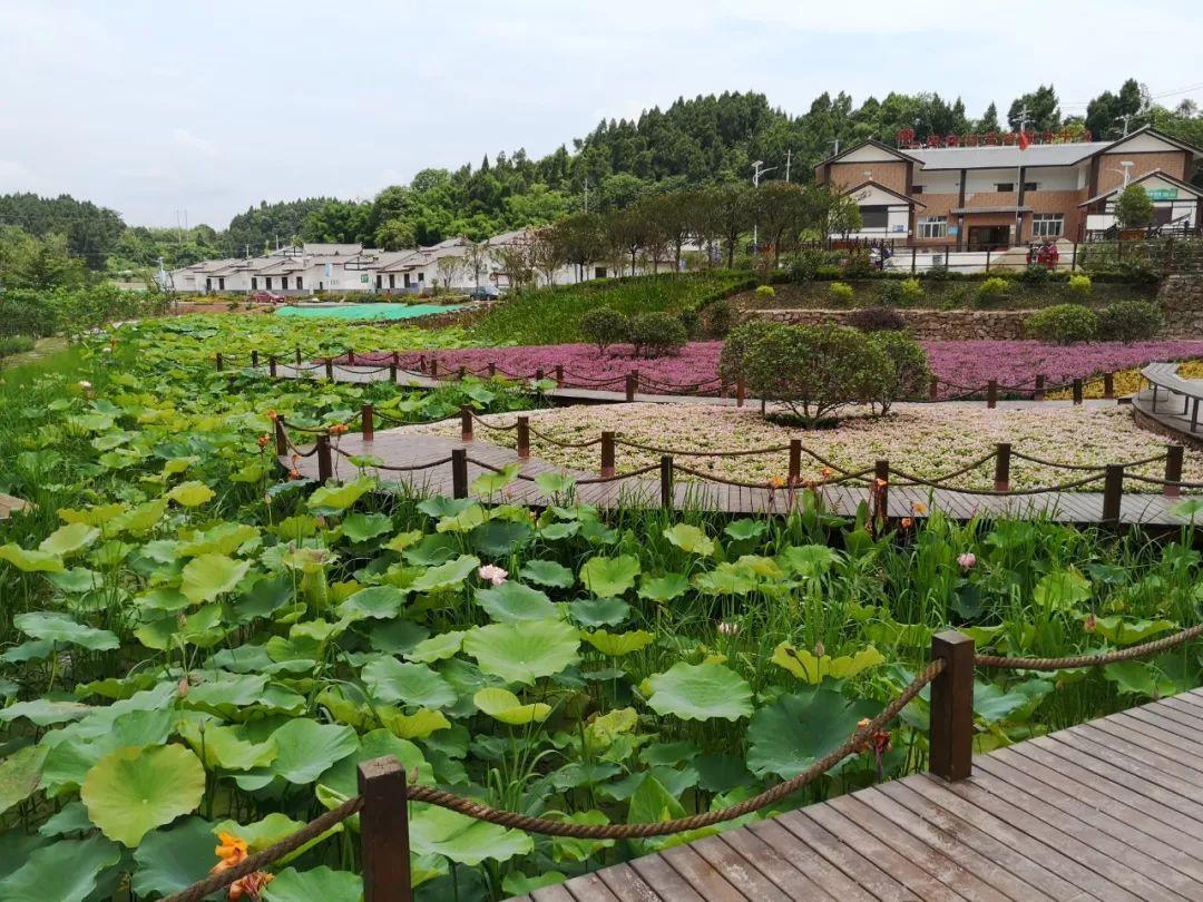 简阳户外休闲椅多少钱 zhuanlan.zhihu.com