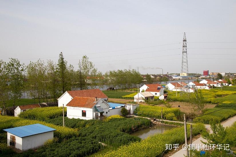 环华第45天新曹农场射阳