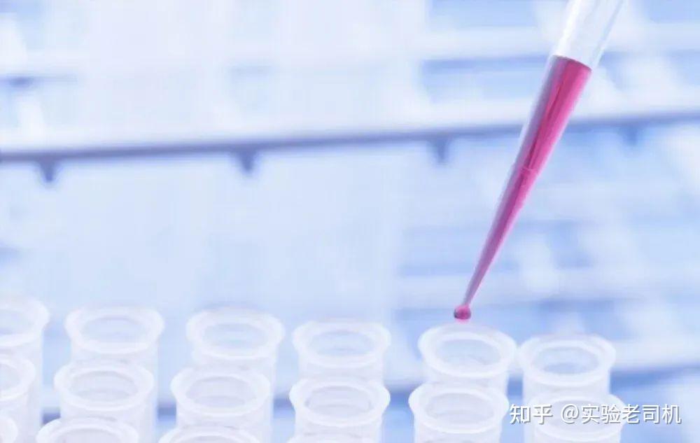 手把手教学——Trizol法和柱式法RNA提取的实验流程和注意事项 - 知乎