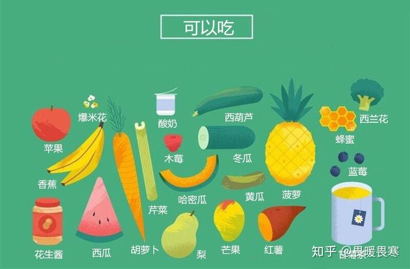 家养小泰迪狗能吃哪些狗粮以外的其它食物?