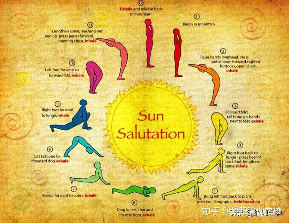 0基础瑜伽入门学习手册掌握这些你能更好瑜伽