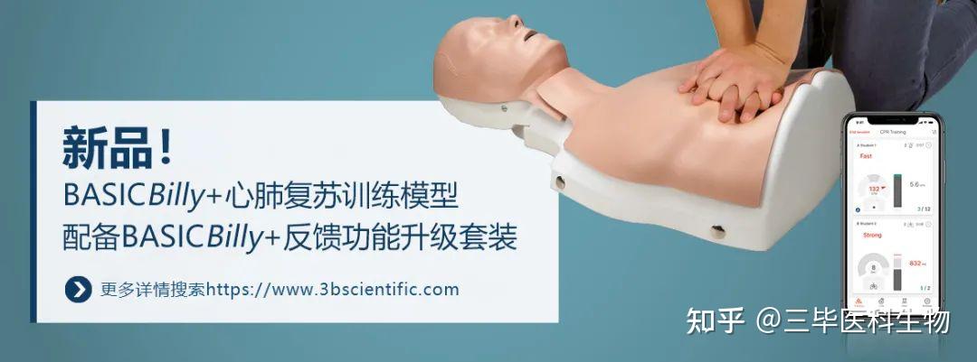 心肺复苏术,一起来谈“心”3B Scientific教学模型 - 知乎