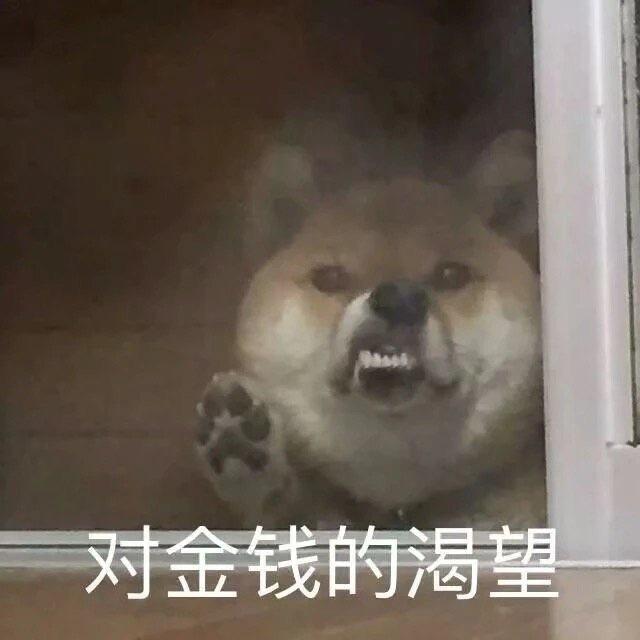 随便沙雕文案,随便沙雕文案怎么写