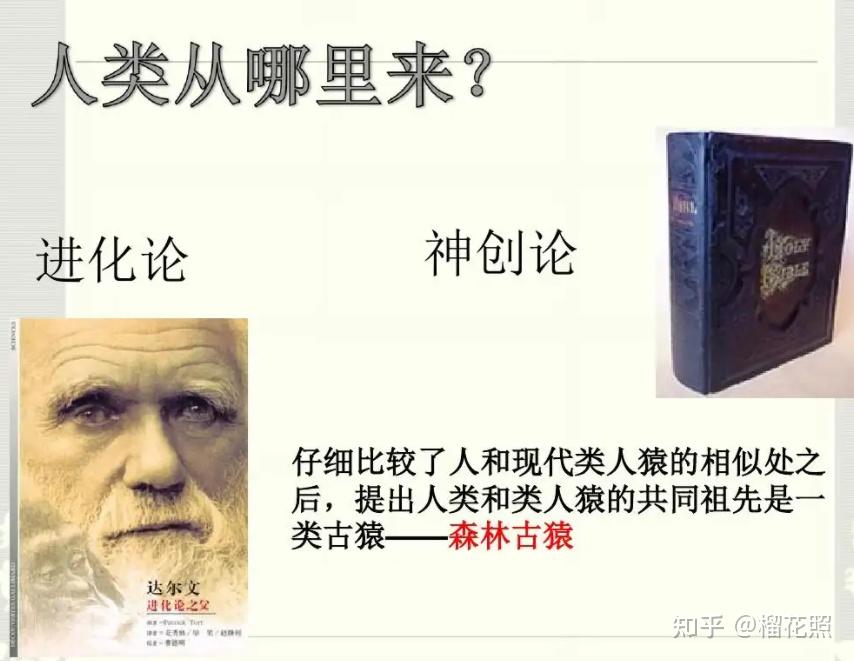 神创论vs进化论