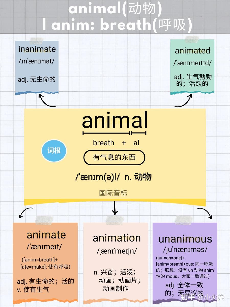 5张图片记单词 animal(动物) - 知乎