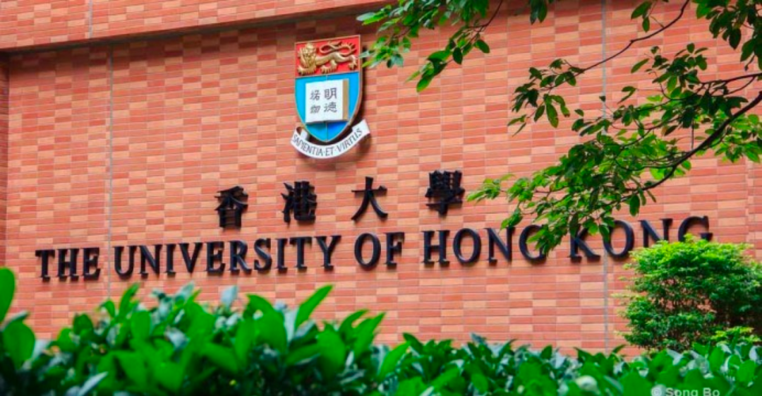 香港大學22年fall新增四大專業 - 知乎