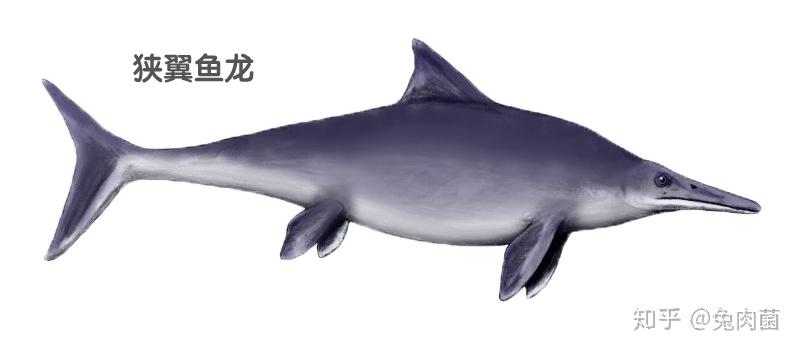 放弃行走换来1亿年的繁衍鱼龙兴衰史灭绝纪