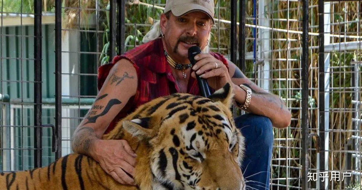 如何评价纪录片《养虎为患》(tiger king)? - 知乎