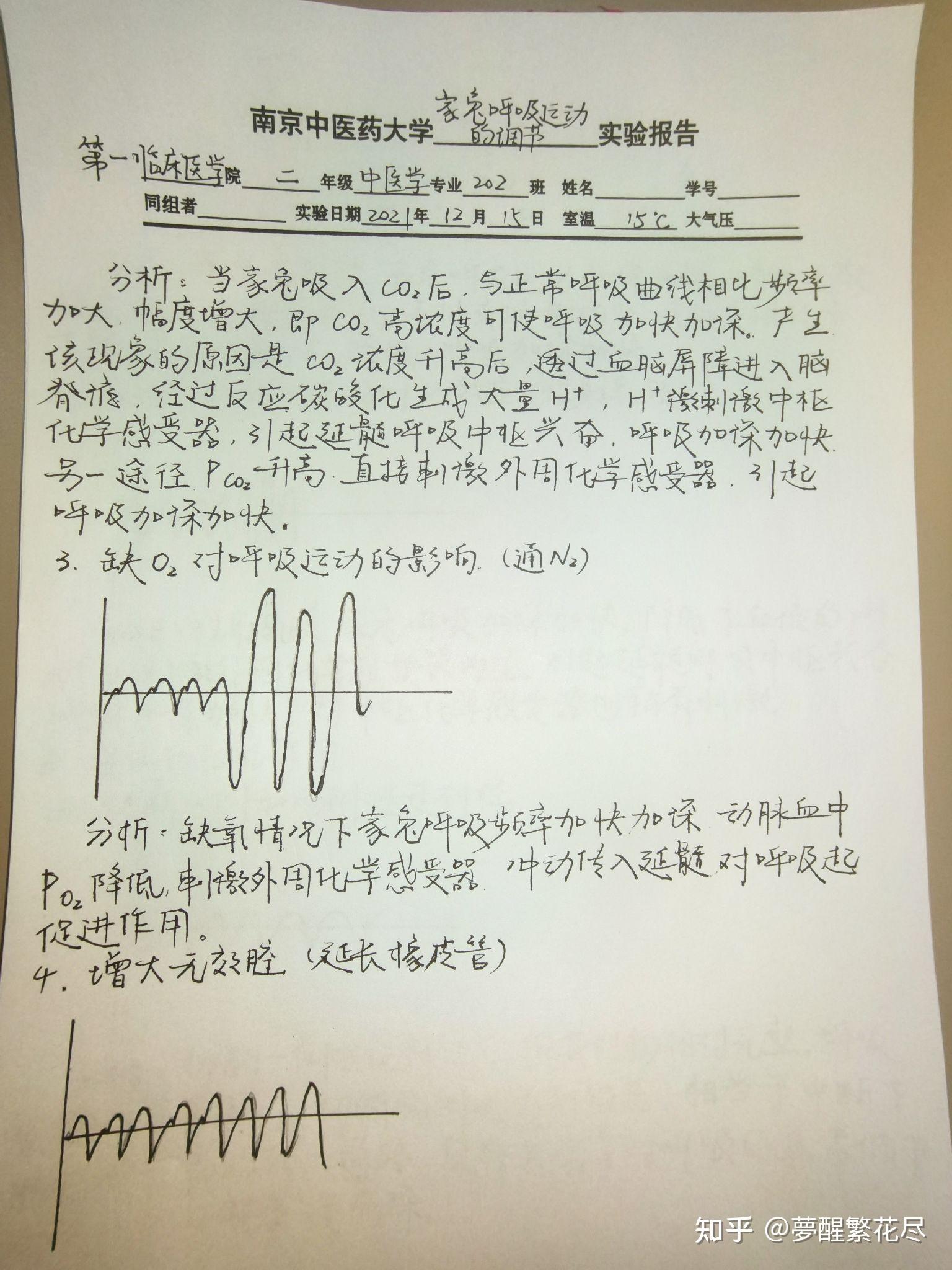 生理学实验报告④家兔呼吸运动的调节 