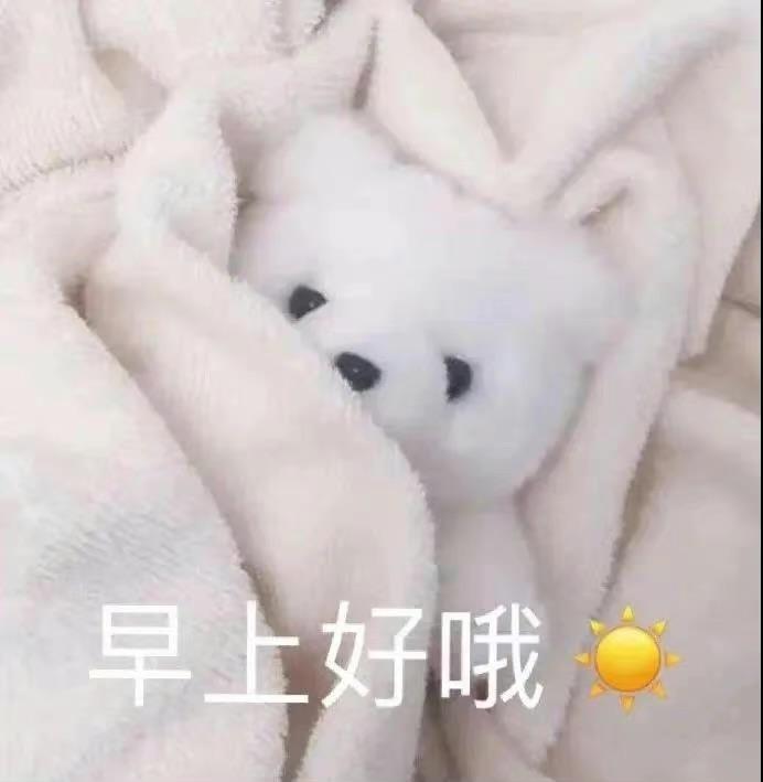 关于早上好的表情包