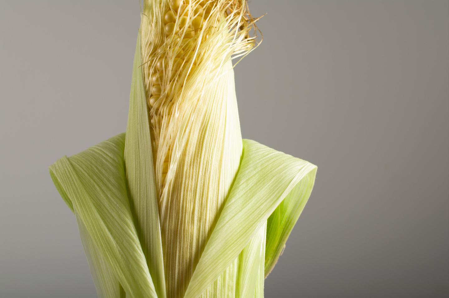 v2-36a3f66b5eaa9f91fb886a250c58301b_1440w.jpg?source=172ae18b