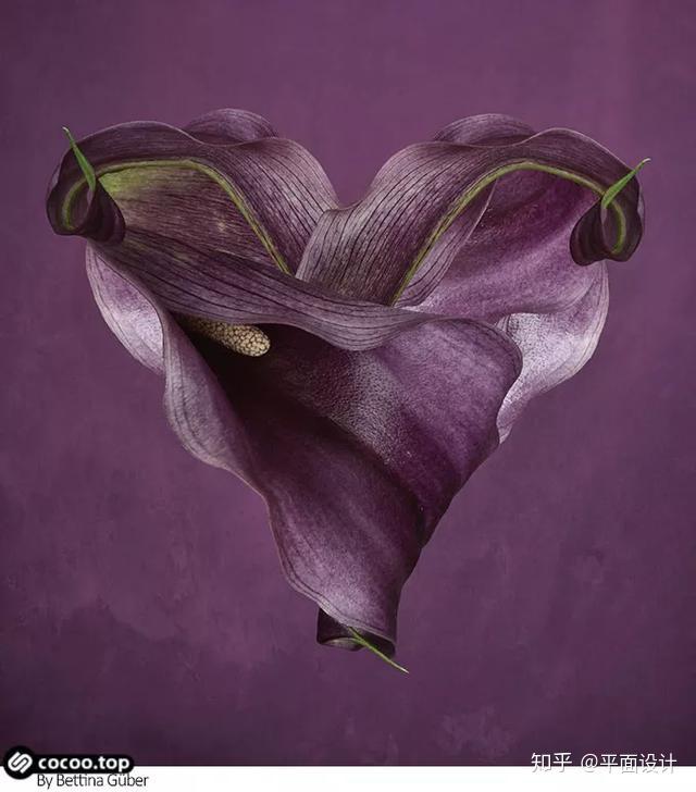 图形设计八大表现手法！另辟蹊径