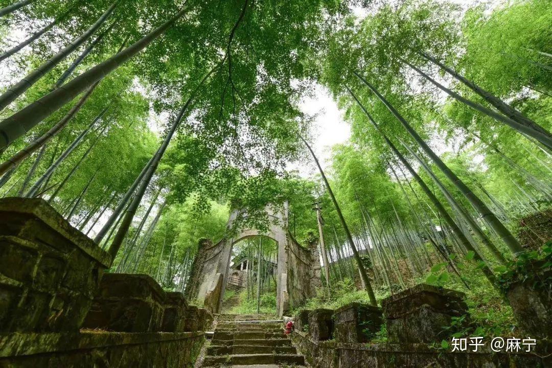 莫干山颐园茂林修竹间伴着萤火虫收获一夜好眠