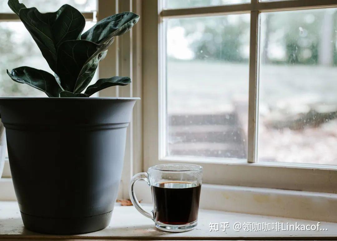 黑咖啡——品味咖啡的原始与粗犷 - 知乎