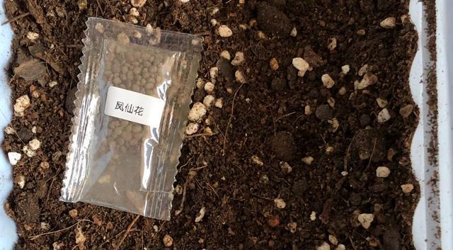 凤仙花在春,夏,秋三个季节播种都可以.