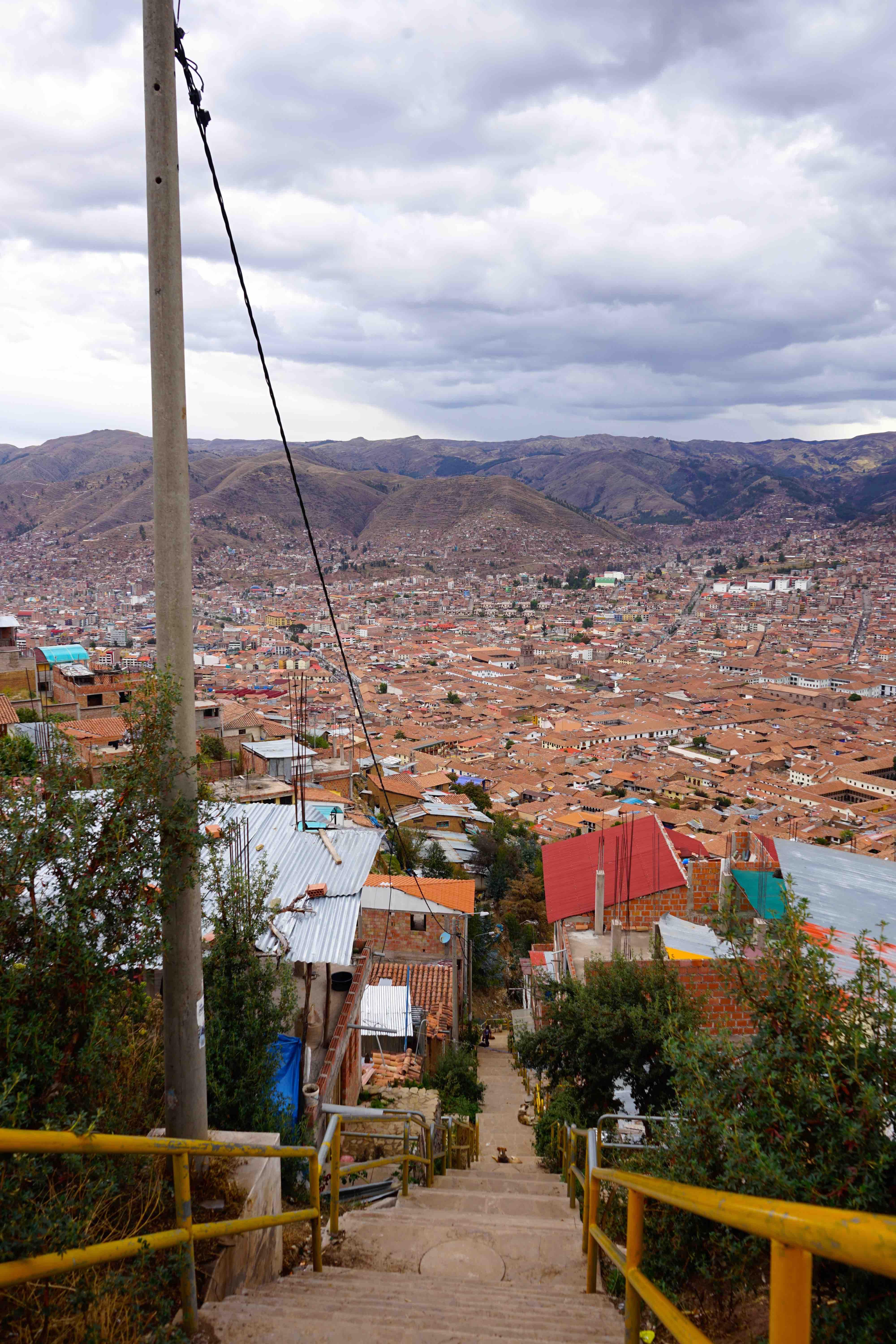 我在秘鲁吃豚鼠