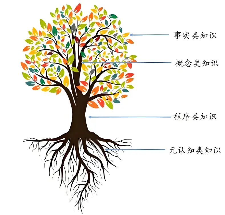 知识的四个维度:事实、概念、程序、元认知 - 知乎