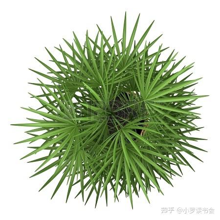 园林景观ps彩平素材分享 - 知乎