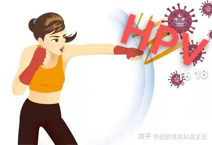 双方都只有一个性伴侣却感染了hpvhpv究竟是怎么感染的